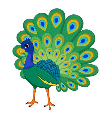 Güzel tavus kuşu çizgi film vektör çizimi