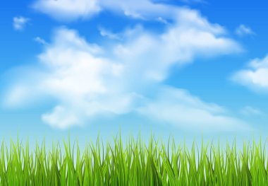 Bulutlu mavi gökyüzü çimenler, doğa arka planı. Vektör illüstratörü.