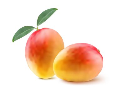 Olgun mango beyazı izole etmiş. Vektör illüstrasyonu