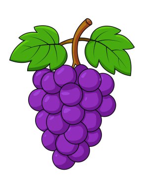 Yeşil Yapraklı Taze Mor Üzümler