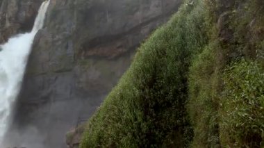 Ormanda güzel bir şelale