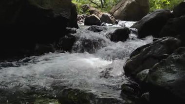 Ormanda güzel bir şelale