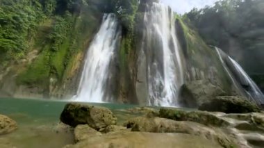 Ormanda şelale, doğa ve bitki örtüsü