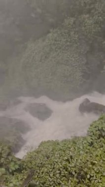 Yeşil ağaçlı güzel şelale