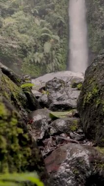 Yağmur ormanlarındaki şelale, Costa rica