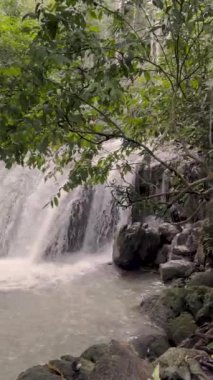 Ormanda şelale, doğada şelale..