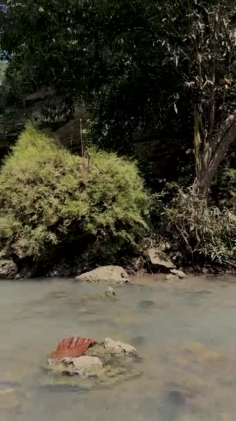 Wodospad Przepływ Rzeki Naturze — Wideo stockowe
