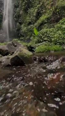 Ormandaki şelalenin güzel manzarası.