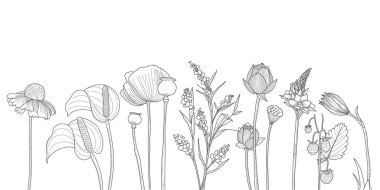 Beyaz arka planda güzel siyah beyaz çiçek çizgisi sanat manzarası. Renkli sayfa gülü