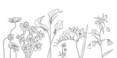 Beyaz arka planda güzel siyah beyaz çiçek çizgisi sanat manzarası. Renkli sayfa nilüfer çiçeği 