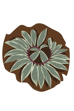 Havai spiral zencefil yaprağı yerde. Güzel pembe sarmal yaprak