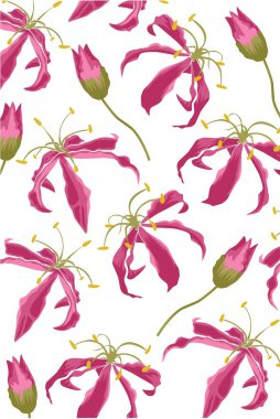 Beyaz tomurcuklu güzel pembe çiçek. 