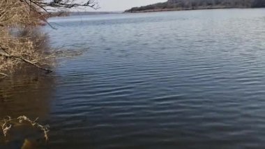 Baharın başında. Nehir kıyısında güneşli bir gün.