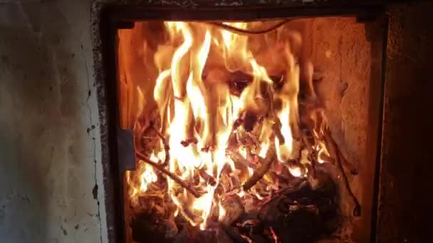 Village Stove Fire Made Burning Brushwood Fire — Stock Video