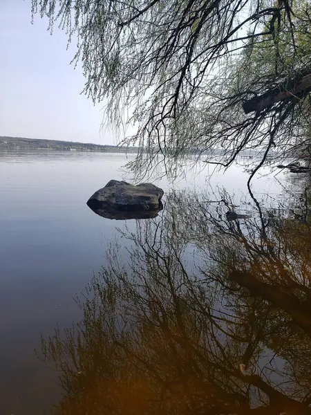 ağaçları ile güzel nehir