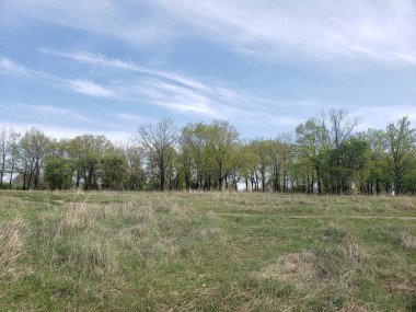 Çayır ve orman kuşağı bulutlu mavi gökyüzünün arka planına karşı