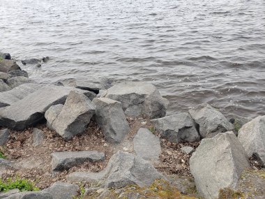 Kayalık nehir kıyısının güzel manzarası. Doğa