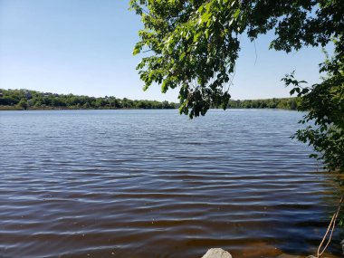 Güneşli bir günde ağaçlarla çevrili bir nehrin güzel görüntüsü.