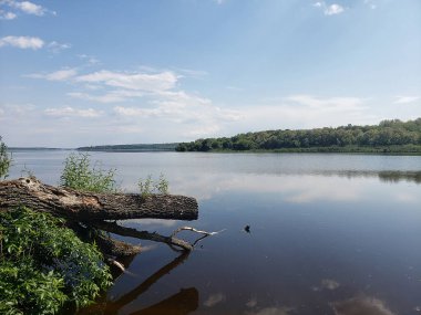Sahilde ağaçların ve çalıların olduğu parkta güzel bir gölet manzarası.