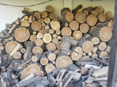 Büyük kütüklerden yapılmış bir kulübeye yakın çekim