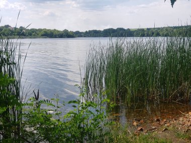 Yeşil bitki örtüsü ve güzel manzaralı nehir kıyısı