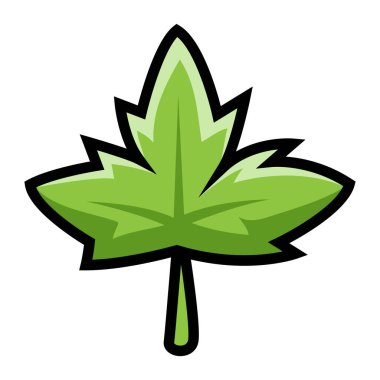 Beyaz arkaplanda yeşil akçaağaç yaprağı