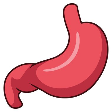 Karikatür insan midesi beyaz arkaplanda izole edilmiş.