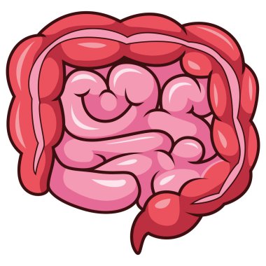 Cartoon human intestines organ on white background clipart