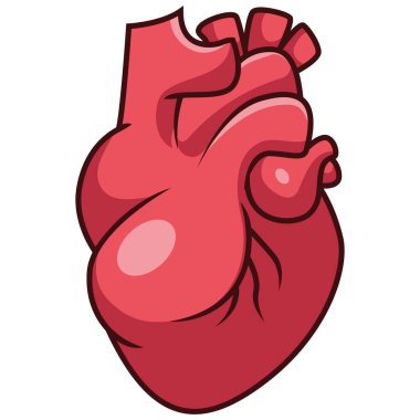 Karikatür insan kalbi beyaz arkaplanda izole edildi