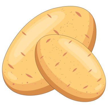 Beyaz arka planda izole edilmiş iki taze, bütün, çiğ patatesin vektör çizimi.