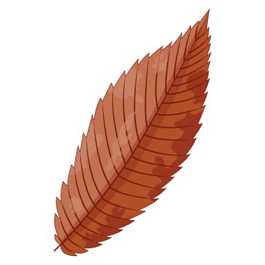 Tek bir kahverengi sonbahar yaprağının tasviri