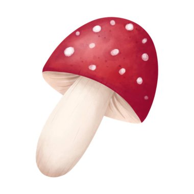 suluboya mantar, resim, beyaz arkaplan