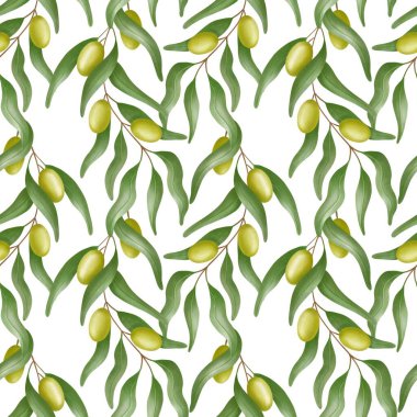 Yeşil zeytin dallı suluboya deseni ve beyaz arkaplanda izole edilmiş yapraklar.