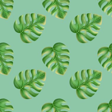 Tropikal canavar yaprağı arkaplanı pürüzsüz..