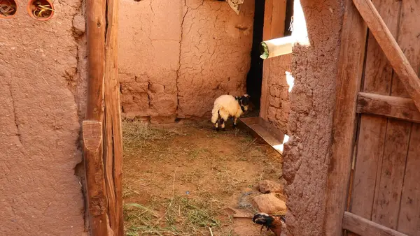 Kasbah 'ta koyun, Ben Haddou, Berber, Maroc