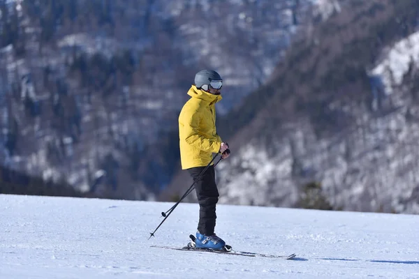 스키를 타기에 더없이 초원의 날씨에 나무늘보를 짝으로 풍경을 감상하는 — 스톡 사진