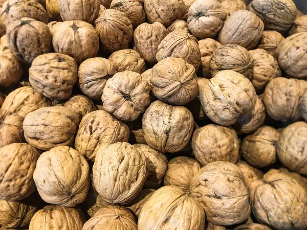 A bunch of beautiful ripe healthy walnuts that are very healthy and good for the body and mind