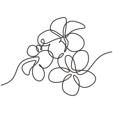 Plumeria çiçek vektörü. Sürekli bir çizim çizimi. Egzotik tropikal bitki. Vektör illüstrasyonu izole edildi. Minimalist tasarım elle çizilmiş.