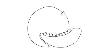 Kavun bir çizgi çiziyor. Sağlıklı yiyecek, doğal organik konsept. Vektör illüstrasyon düzenlenebilir vuruş.