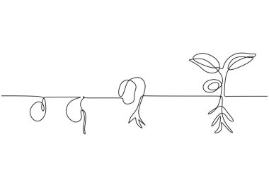 Bitki yetiştirme aşamalarının sürekli çizimi. Tek el büyüyen eko konsepti fışkırtırken çizildi.