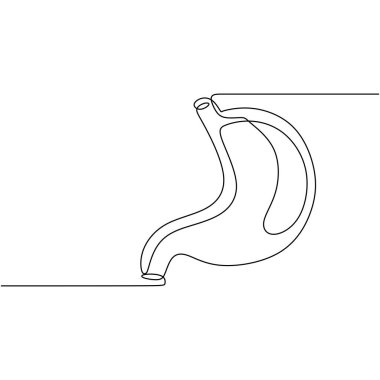 Mide bir çizgi çiziyor. Vektör illüstrasyonu minimalist insan organı.