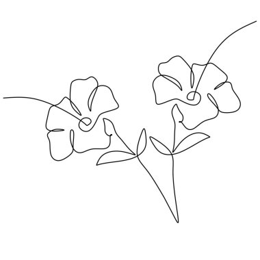 Nilüfer çiçeği aralıksız çizim yapar. Vektör illüstrasyonu izole edildi. Minimalist tasarım elle çizilmiş.