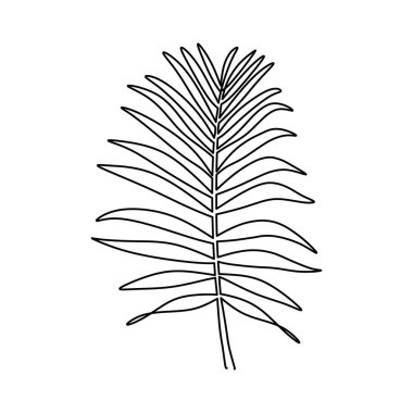 Palmiye yaprağı bir çizgi çiziyor. Vektör illüstrasyonu izole edildi. Minimalist tasarım elle çizilmiş.