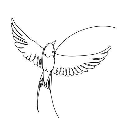 Çizimlerden birini yut. Sürekli uçan bir hayvan kuşu. Vektör illüstrasyonu izole edildi. Minimalist tasarım elle çizilmiş.