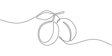 Erik aralıksız çizgi çizimi. Organik gıda kavramının sağlıklı meyveleri.