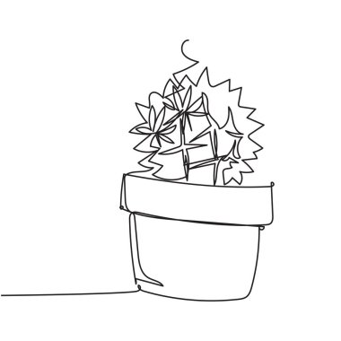 Kaktüs bir çizim çizimi. Vektör illüstrasyonu izole edildi. Minimalist tasarım elle çizilmiş.