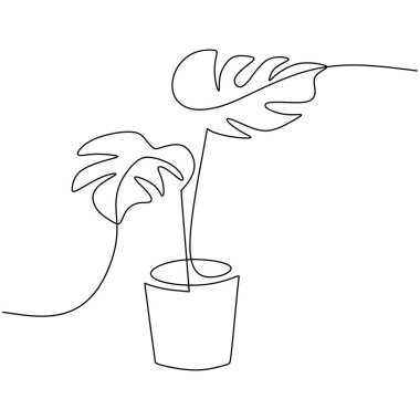 Monstera delicosa bitkisi aralıksız bir çizim çiziyor. Vektör illüstrasyonu izole edildi. Minimalist tasarım elle çizilmiş.