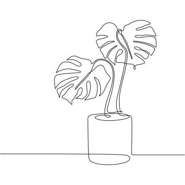 Monstera delicosa bitkisi aralıksız bir çizim çiziyor. Vektör illüstrasyonu izole edildi. Minimalist tasarım elle çizilmiş.