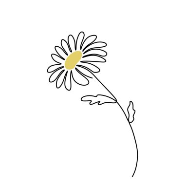 Papatya çiçeği sürekli bir çizgi çiziyor. Vektör illüstrasyonu izole edildi. Minimalist tasarım elle çizilmiş.