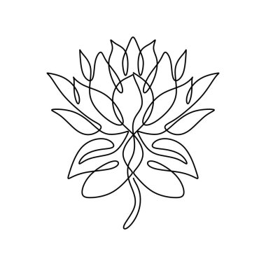 Nilüfer çiçeği aralıksız çizim yapar. Vektör illüstrasyonu izole edildi. Minimalist tasarım elle çizilmiş.